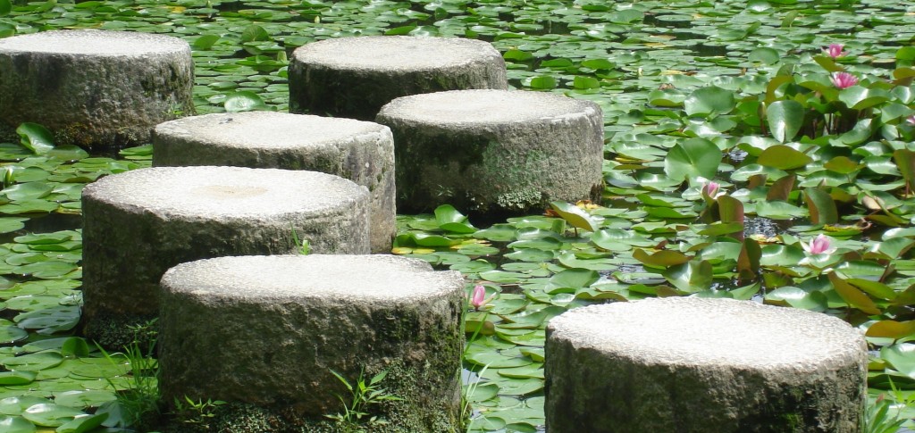 7steps